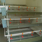 ��Ӧ���ŵ�����