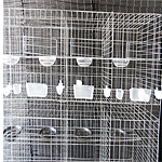 ����12λ����