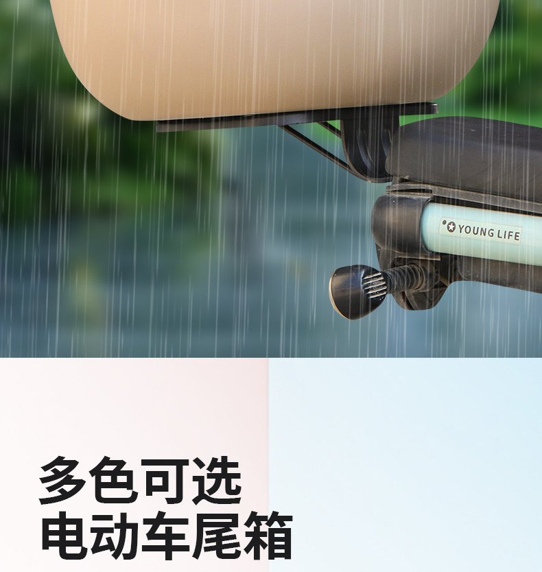 [Universal for All Seasons] New National Standard Electric Vehicle Trunk, Enlarged and Thickened Storage Box, Waterproof and Drop-Resistant, Large Capacity Trunk