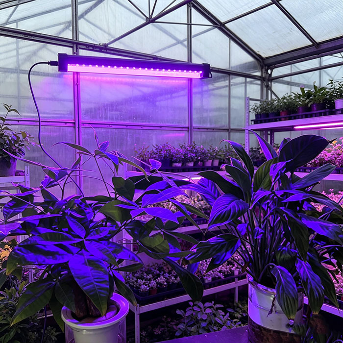 RGB