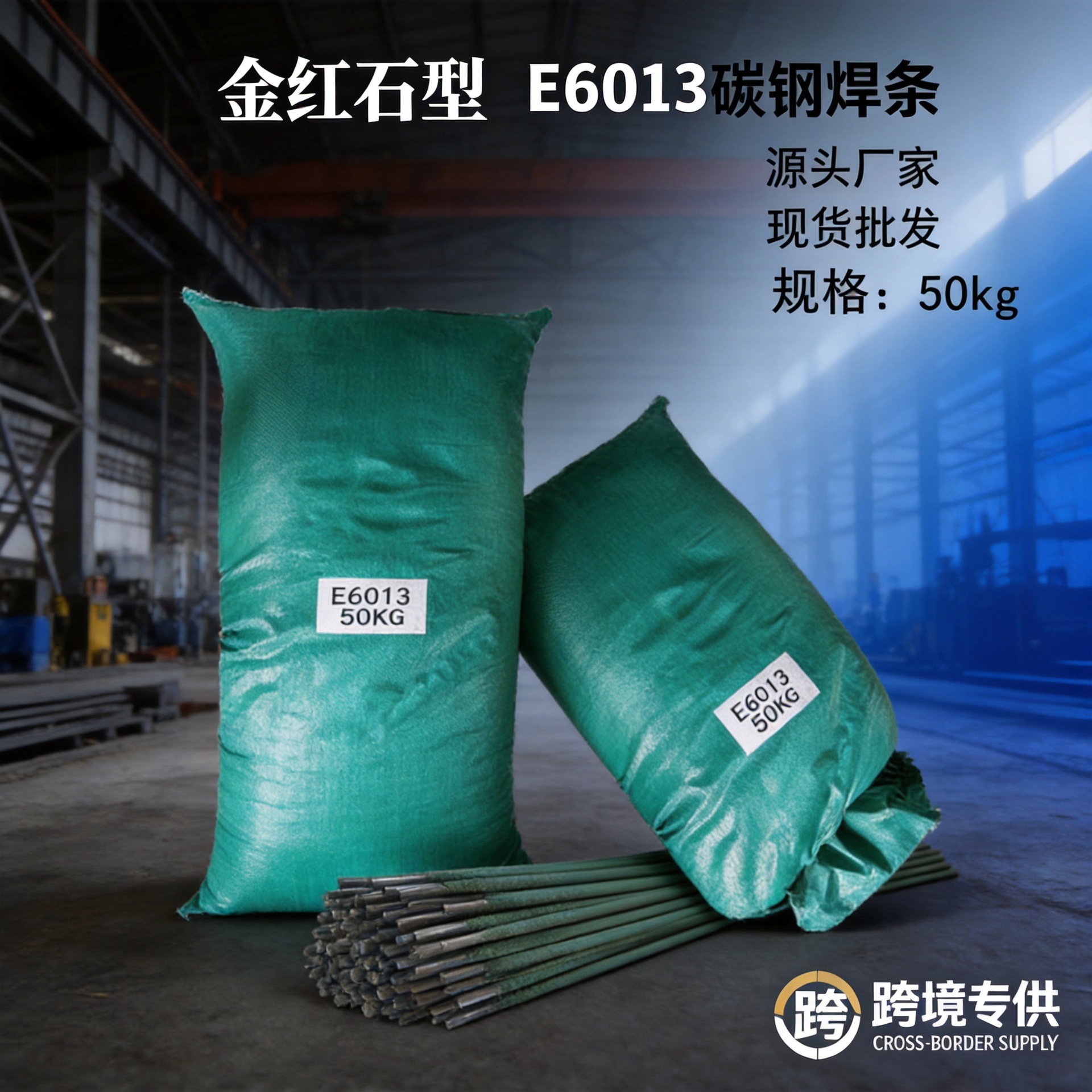 E6013