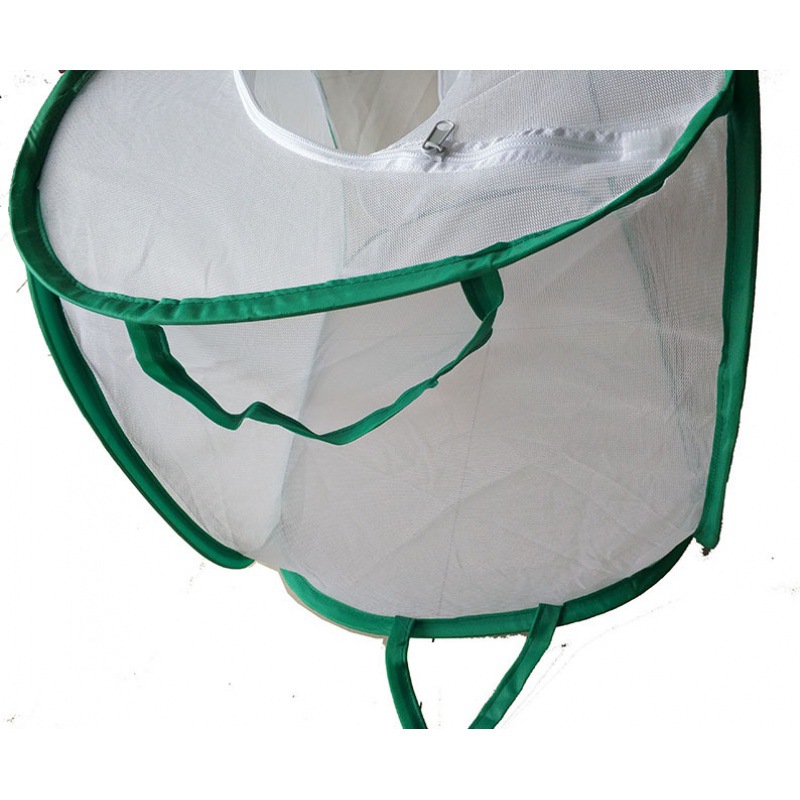 JINBOLANG