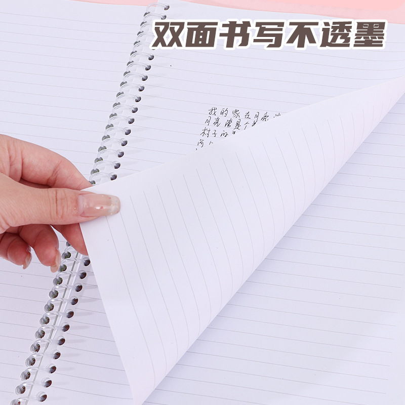 A5