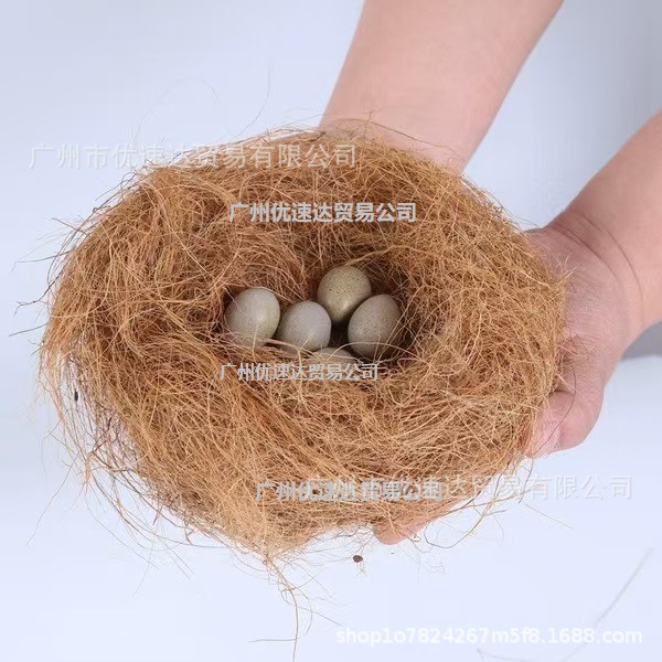 Coconut