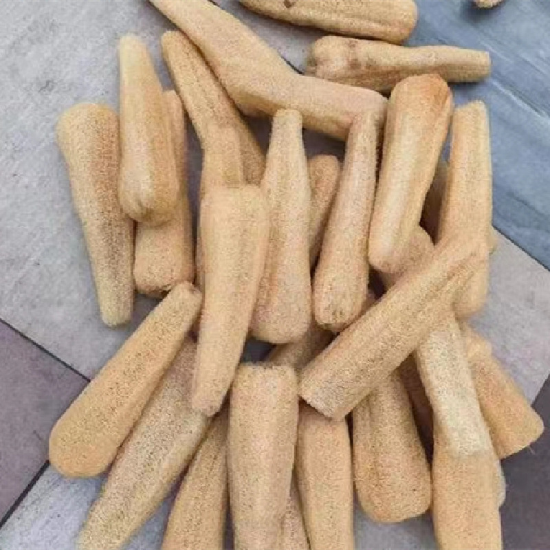 Sponge