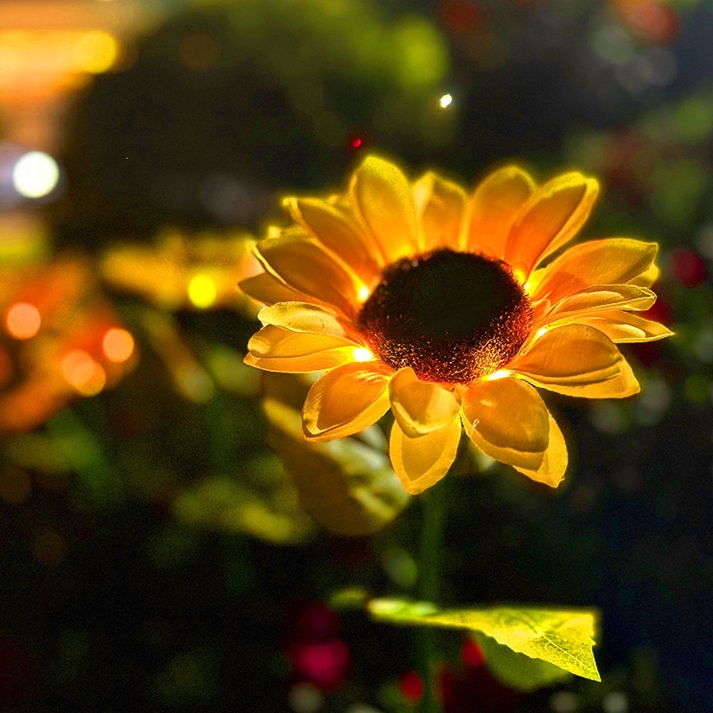 Solar