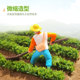 DIY handmade vegetable field building model material mini scene mini simulation food doll house tool mini