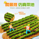 DIY handmade vegetable field building model material mini scene mini simulation food doll house tool mini