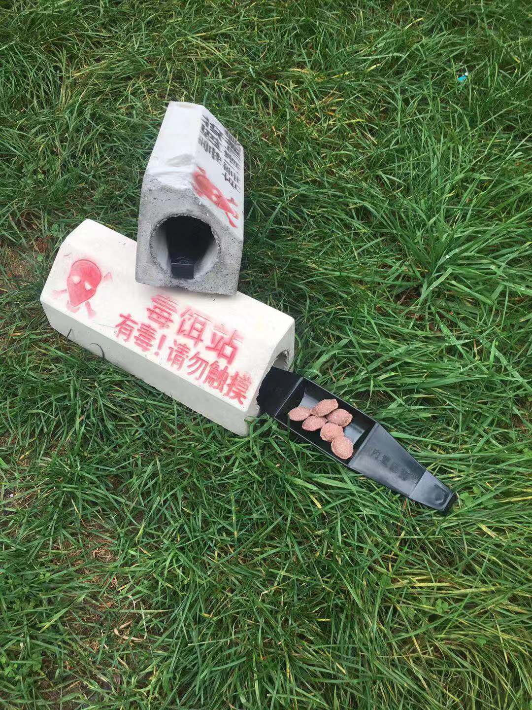 시멘트 독 미끼 스테이션 쥐 상자 설치류 방제 및 건강 생성을 위한 12개 조각 운남성에서 출시된 고품질 새 모델