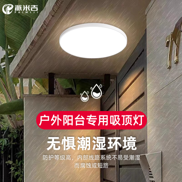 户外吸顶灯庭院屋檐室外室内阳台灯农村自建房大门门口防虫照明灯