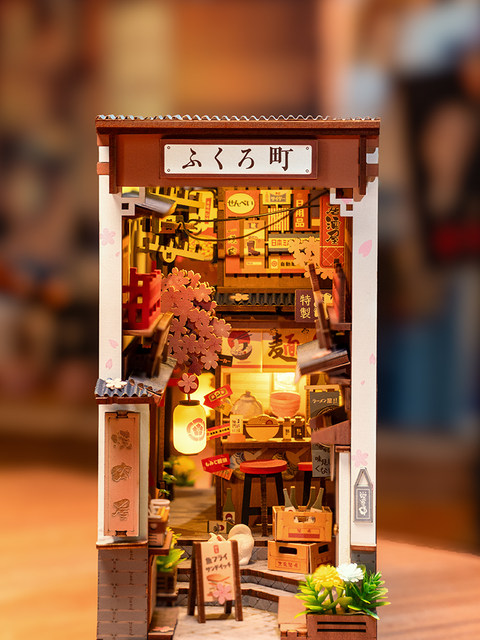 Rolife Ruolai Lou Sakura Town Bookstore Secret Realm Handmade Bookstop Stand Plug Model Diy Holiday Gift Women