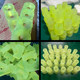 Polyurethane PU plate rod Youli glue processing washer wear-resistant beef tendon collision block buffer shock absorbing gasket mold opening customization