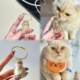 Transparent cat hair storage box hanging gaunt cat hair storage capsule gaunt bag keychain pendant commemorative