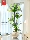 Имитация драцены зеленое растение в помещении в большом горшке, светлая гостиная, роскошное украшение, бионическое растение, искусственное дерево рядом с диваном mini 0