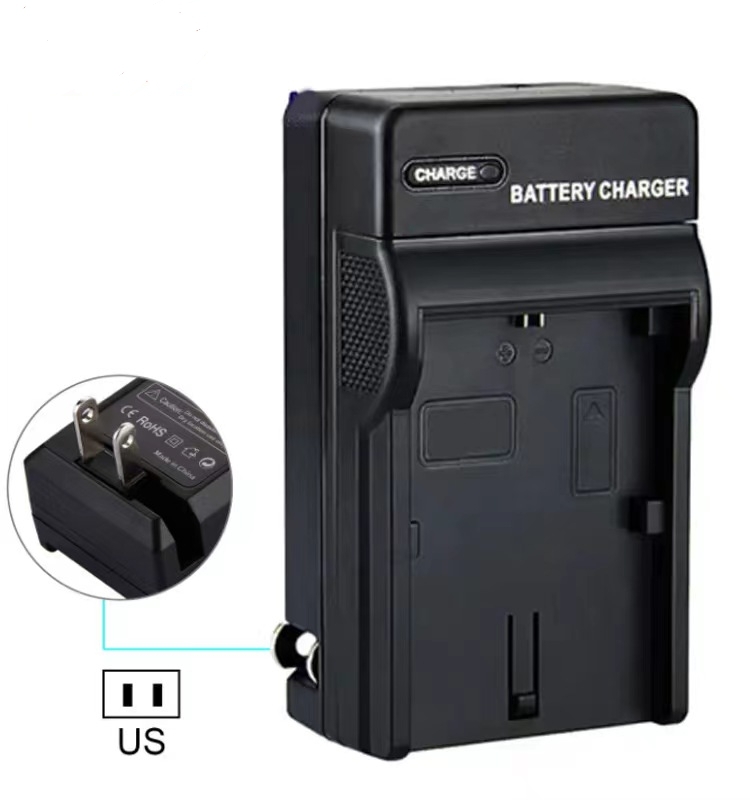 PANASONIC DMC-FX36 FX37 FX38 FX55 FX33GK 디지털 카메라 배터리 + 충전기에 적합