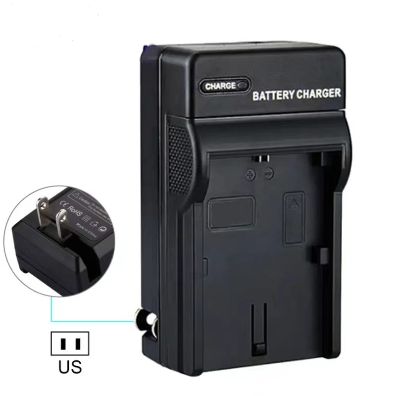 PANASONIC DMC-FS3 FS5 FS20 FX30 FX33GK FX35 디지털 카메라 배터리 + 충전기에 적합