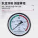 Hangzhou Fuyang Huake Gas Storage Tank Pressure Gauge Axial Air Pressure Y100Z Air Compressor 0-1.6MPA Boiler Steam