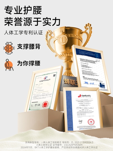 BKT护腰坐垫孕妇实用礼物腰靠垫腰凳靠背垫腰托椅子哺乳枕部支撑 — 5