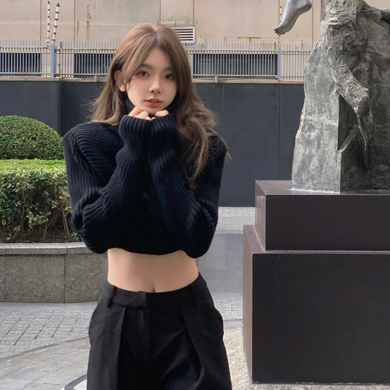 FALL|WINTER NEW HIGH NECK PULLOVER SHORT PADDED SHOULDER KNIT SWEATER WOMENS 2022 SLIM FIT PREMIUM DESIGN TOP