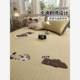 Class A waffle iced beans cool mat three-piece set strap children's bed sheet summer ice silk mat air conditioning soft mat