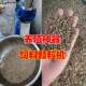 Feed pelletizer small household feeding machine breeding pig, cattle, sheep, rabbit, fish, grain machine, grass, corn straw pelletizer