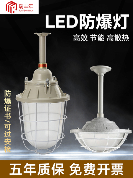 国标LED防爆灯工厂房车间照明灯灯罩仓库灯隔爆型灯专用加油站灯