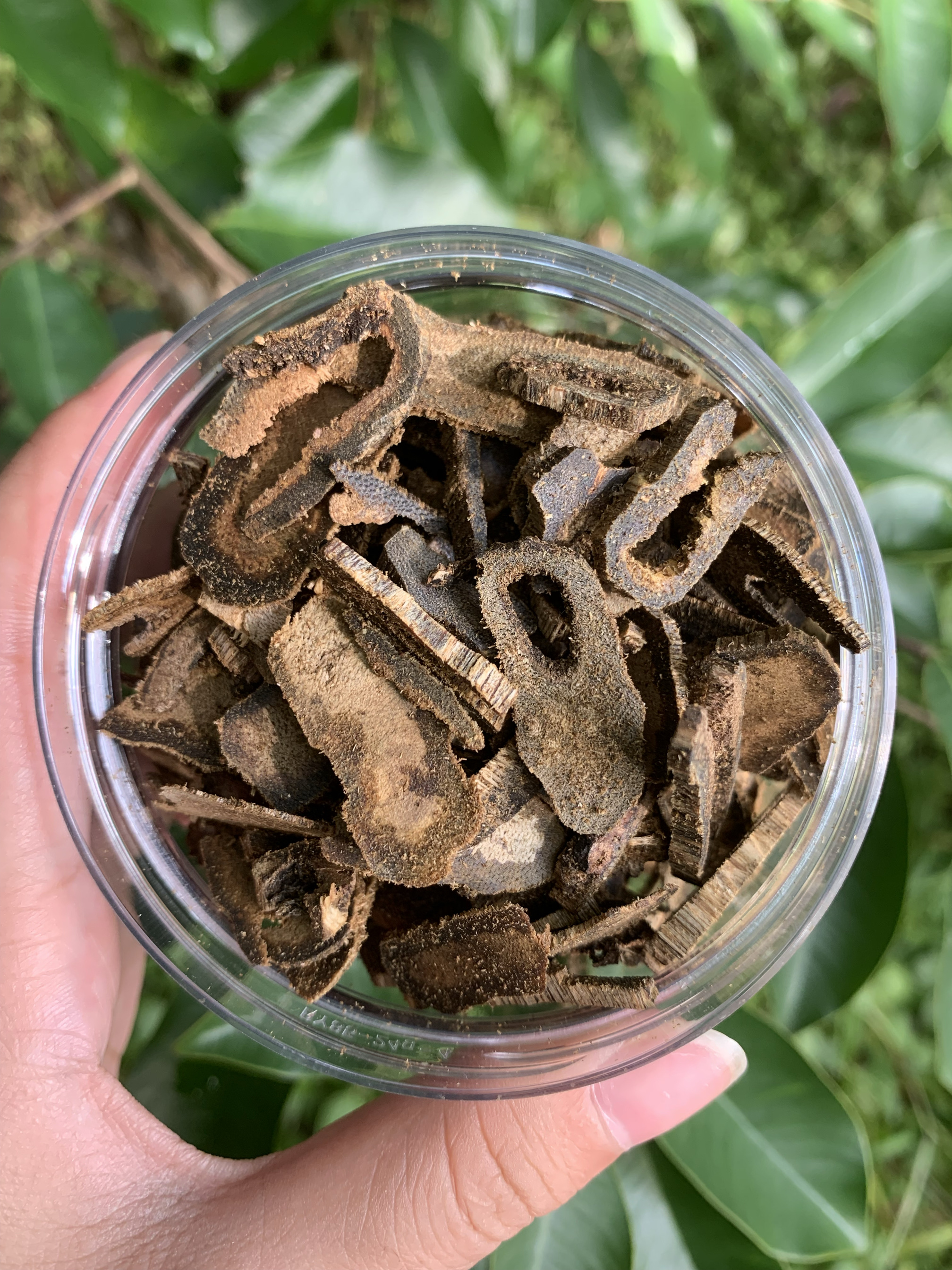 [FEIYANGSHUOXIANG] 잉거 그린 원료