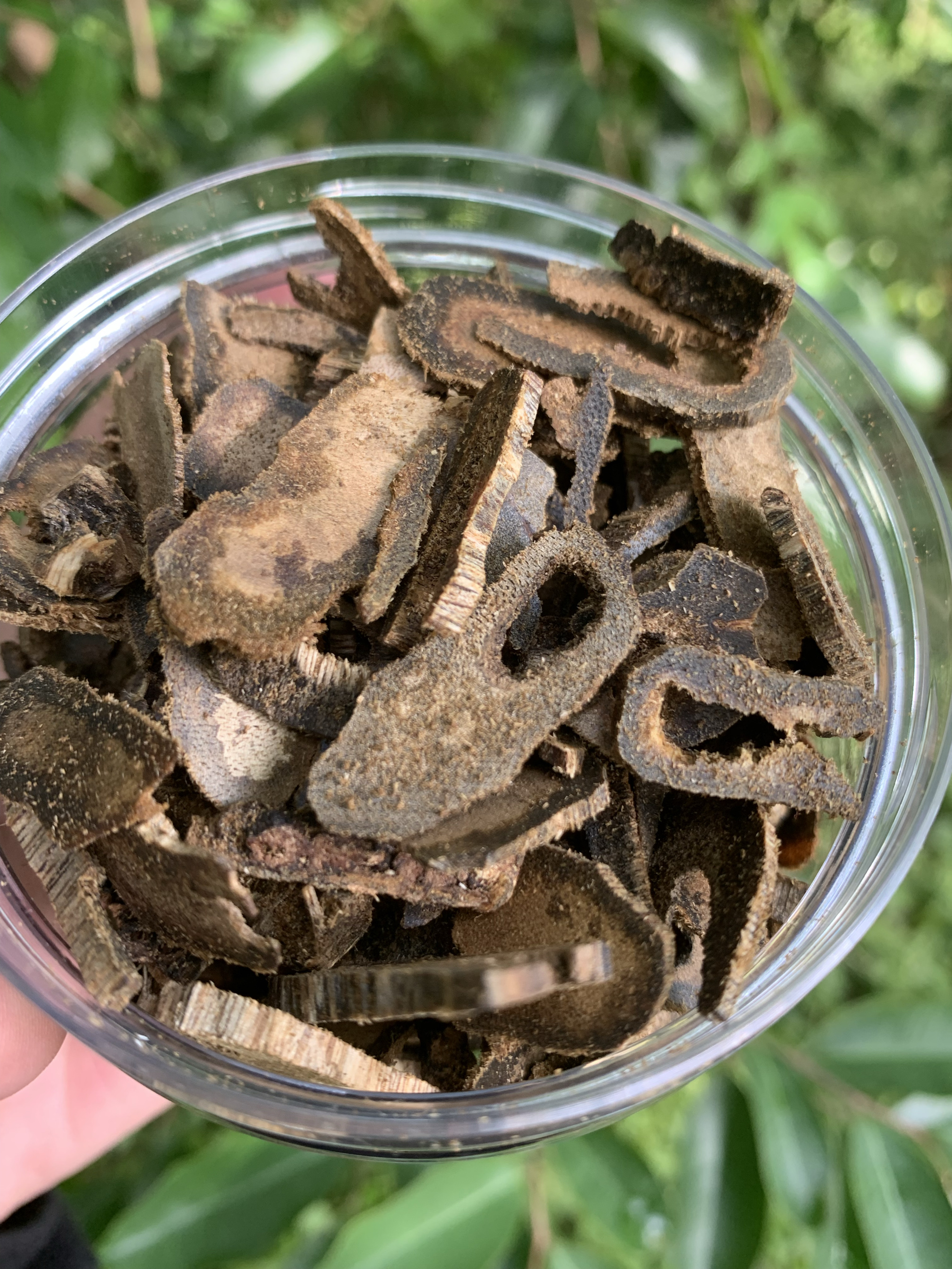 [FEIYANGSHUOXIANG] 잉거 그린 원료