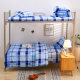 Dormitory blue and white grid d three-piece set student military training bedding single quilt cover bed sheet top and bottom bunk blue stripes 3