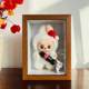 Labubu heart-warming macaron sitting at party Coca-Cola blind box scene display box storage photo frame
