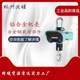 Customized customized direct-view OCS type electronic lifting hook 1T3T5T10T lifting pound steel factory high temperature lifting scale