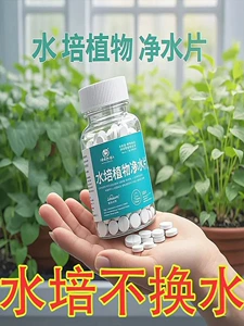[室内植物水培盆栽通用净水片肥料水培种子发芽生根促开花防霉片]