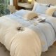 Color-blocking light luxury milk velvet four-piece set thickened warm carved velvet quilt cover high-end embroidered bed sheet three-piece set wholesale