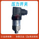 SGN high-precision mechanical pressure switch PS20-SGN micro pressure relay spot