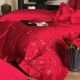 Butterfly embroidered cotton wedding four-piece set cotton 100S Xinjiang cotton red wedding quilt cover bed linen bedding
