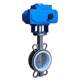 Electric butterfly valve Soft seal butterfly valve 971-10-100 Electric butterfly valve