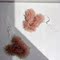 CONYCONI KOREAN PURCHASING INS BLOGGER THE SAME CUTE PLUSH PINK RABBIT KEYCHAIN BAG HANGING DECORATION