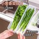 Freshly preserved box Food grade scallion, coriander, whole ginger, garlic, noodles, egg storage and sorting box for refrigerator
