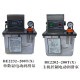 Electric lubricating oil pump for injection molding machine, fully automatic electric lubricating pump, oil injection device, oil refueling pump, electric lubricating pump