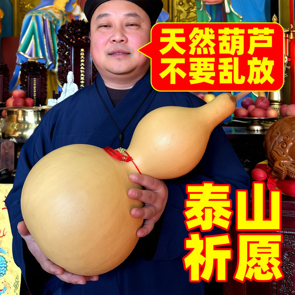 真天然干葫芦大号挂件开口门对门五帝钱纯客厅门口带龙头文玩摆件