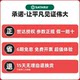 Shida Electric Drill Electric Screwdriver Multi-functional Home Flash Drill Punching Tool Rechargeable Drill Lithium Power Drill 05806