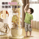 Doll storage bucket plush toy storage artifact transparent tube children's doll large capacity doll display box