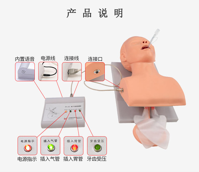 J5S成人气管插管模型 电子人体气管插管训练模型（带报警）医学用