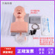 J5S成人气管插管模型 电子人体气管插管训练模型（带报警）医学用