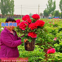 ĵ��������ĵ��С���ϱ����^�p���҃���ͥԺֲ�������ذ���ļ�