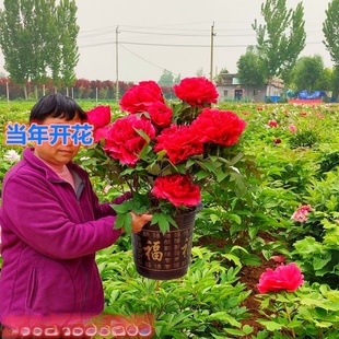 ĵ��������ĵ��С���ϱ����^�p���҃���ͥԺֲ�������ذ���ļ�