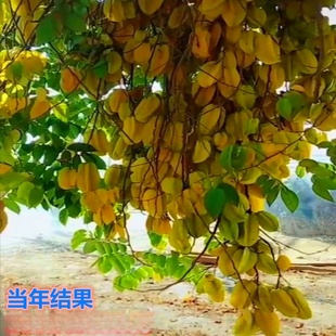 ���l̨���ļ��t����Ҙ��箔��Y���������ۗ���С������R������
