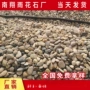 铺路盆栽机制杂色鹅卵石