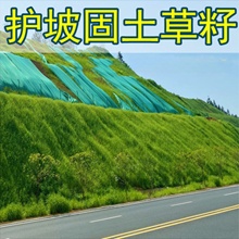 ��ľ�N�Ӹ���é���������������뻱�̻��໨ľ�m�ݷN�ѿ��ُ;G