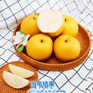 ���l���С���ϱ����Nֲ���ԴXɽ���S������t�����ļ�����Y��